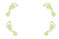 Compensa tus emisiones