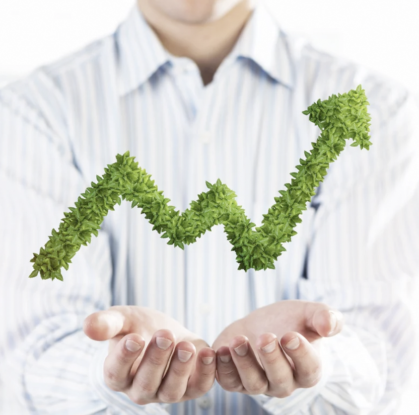 Sostenibilidad Negocios